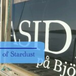 vinga segling med Stardust logo vinga segling med Stardust logo